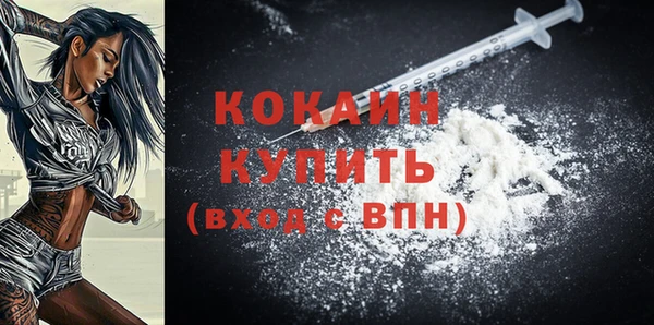 стаф Богородск